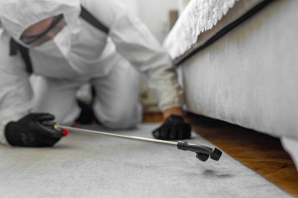 Professional Termite Control technician working in Hernando, FL