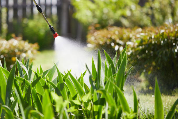 24/7 Emergency Termite Control experts in Hernando, FL