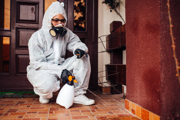 Reliable Termite Control contractor in Hernando, FL by Nex Pest Control